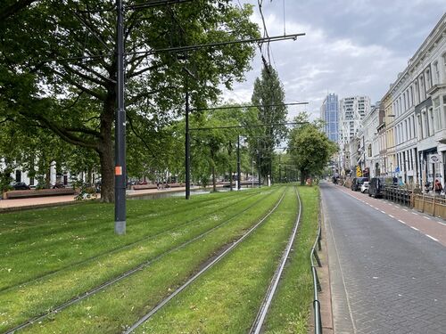[Groene straat in Rotterdam]