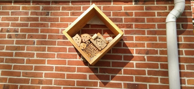 [Insectenhotel maken]